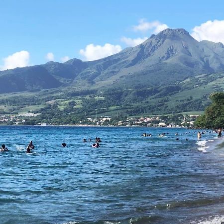 Carribbean Madicreole Au Carbet Villa ลาการ์เบต์ ภายนอก รูปภาพ