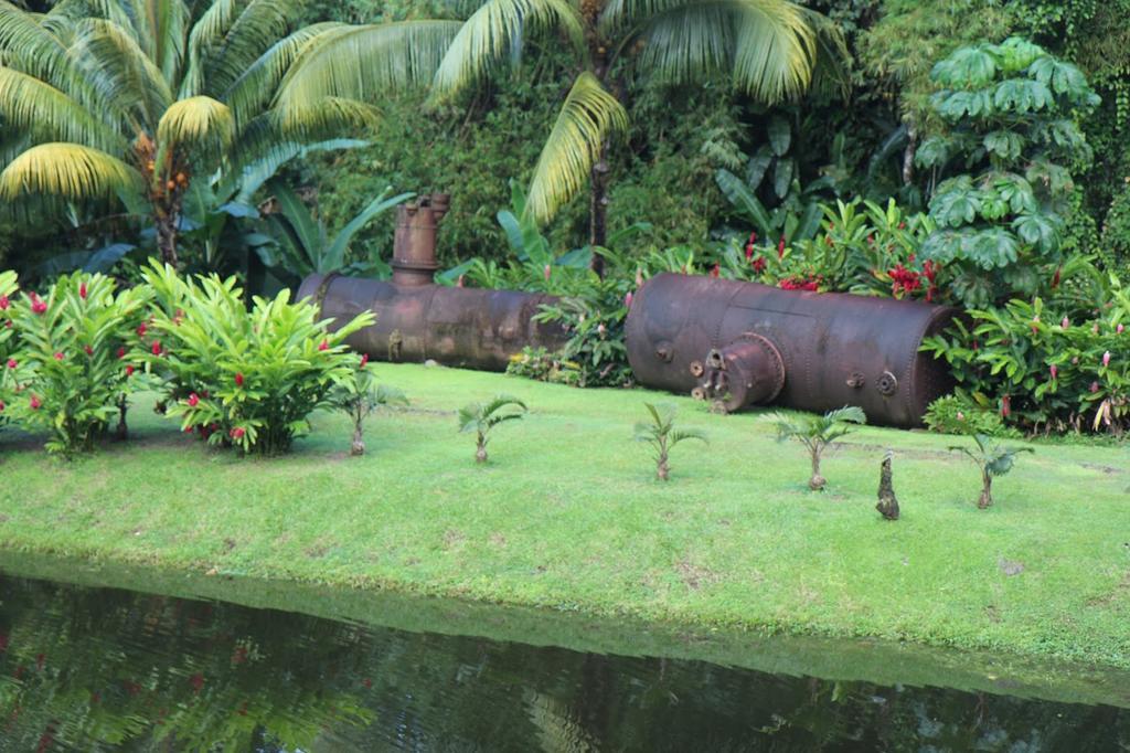 Carribbean Madicreole Au Carbet Villa ลาการ์เบต์ ภายนอก รูปภาพ